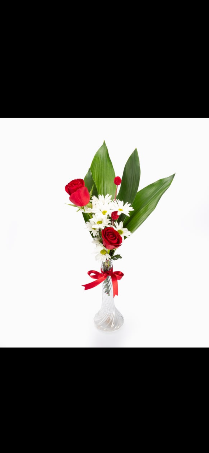 İnce cam vazoda 2 kırmızı gül papatya 