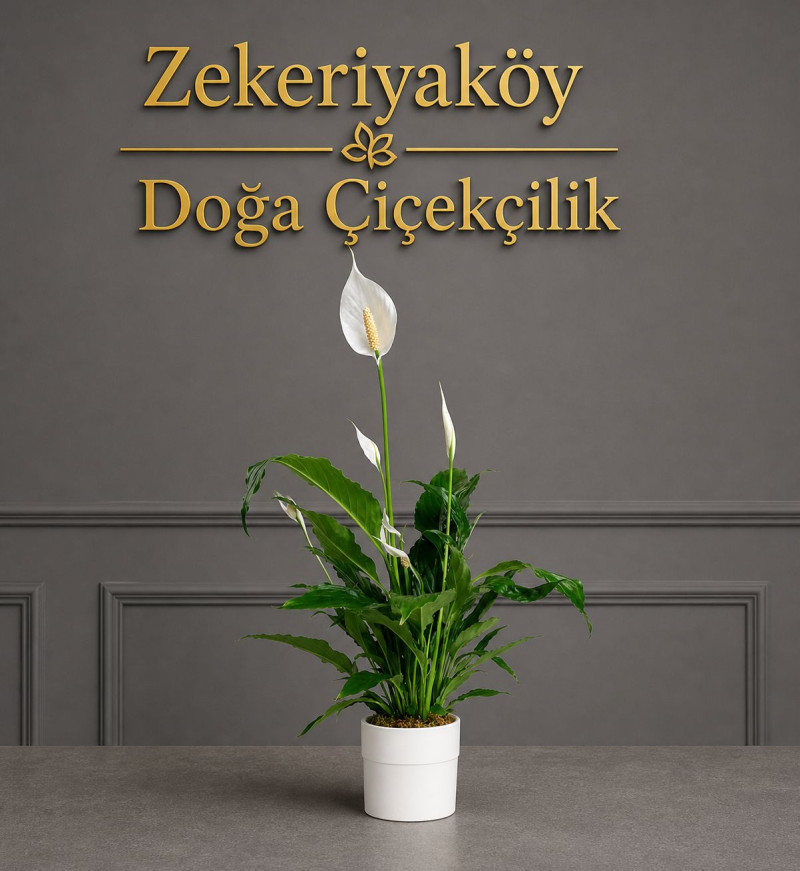 Anneler Günü
